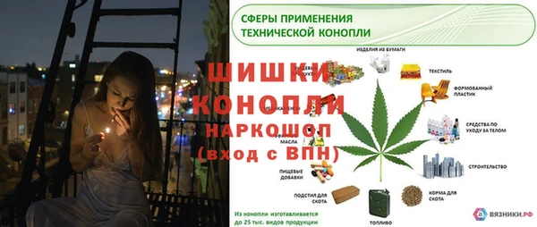 молекула духа Алексин