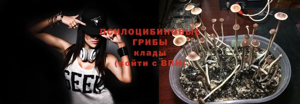 ALPHA-PVP Алексеевка