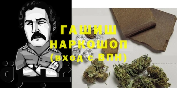 молекула духа Алексин