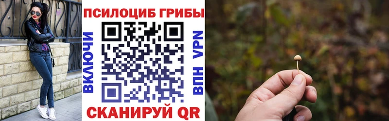 Псилоцибиновые грибы Psilocybe Палласовка